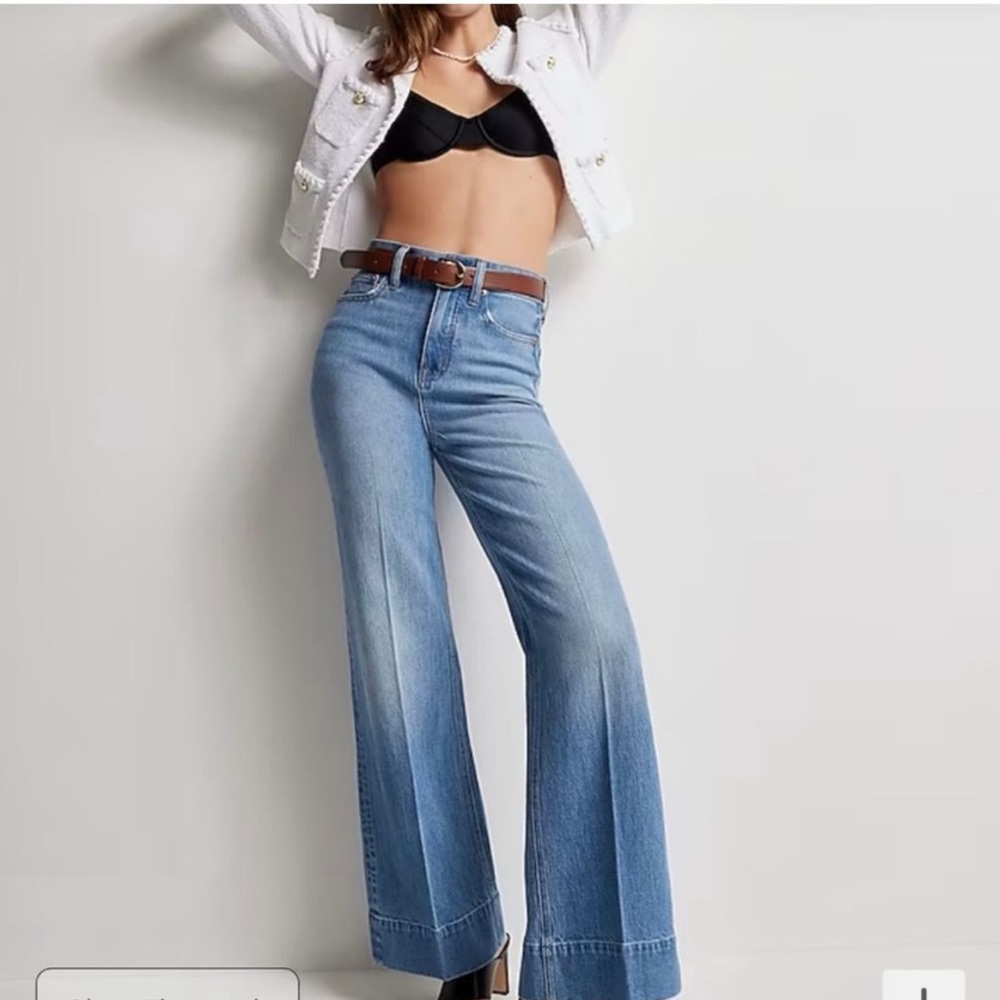 J. Crew Sz 27 Denim Trouser wide-leg jeans in chambray wash, NWT